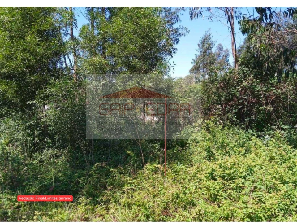 Terreno para Venda em Ovar, São João, Arada e São Vicente de Pereira Jusã Foto 8