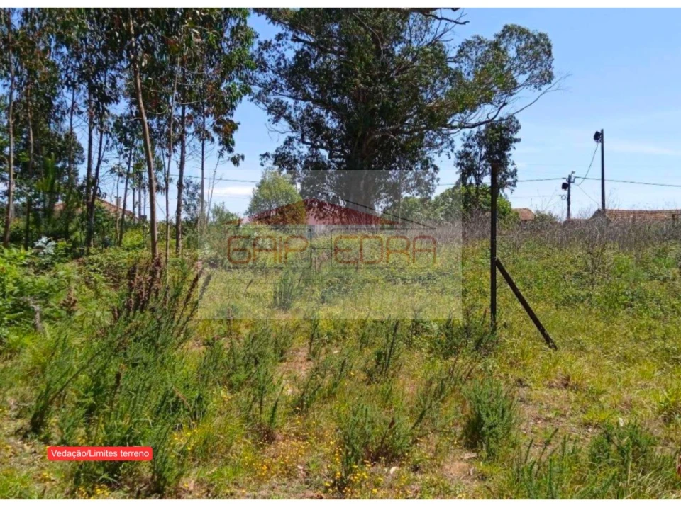 Terreno para Venda em Ovar, São João, Arada e São Vicente de Pereira Jusã Foto 9
