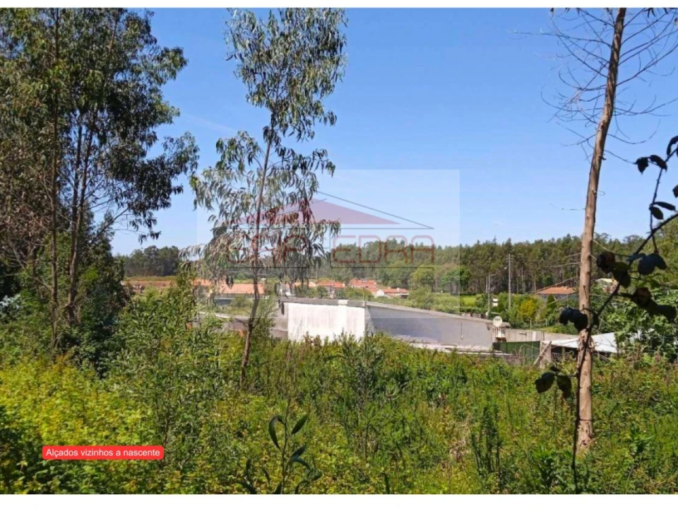 Terreno para Venda em Ovar, São João, Arada e São Vicente de Pereira Jusã Foto 10