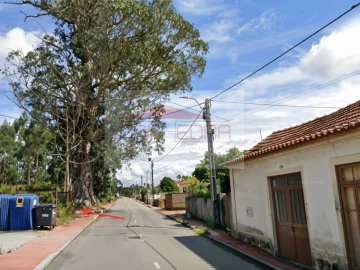 Terreno para Venda em Ovar, São João, Arada e São Vicente de Pereira Jusã