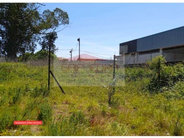 Terreno para Venda em Ovar, São João, Arada e São Vicente de Pereira Jusã