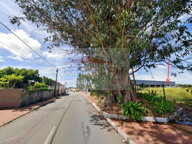 Terreno para Venda em Ovar, São João, Arada e São Vicente de Pereira Jusã Foto 4