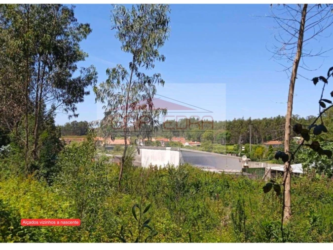 Terreno para Venda em Ovar, São João, Arada e São Vicente de Pereira Jusã Foto 10