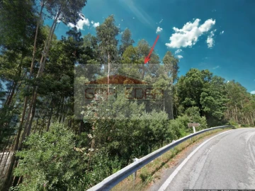 Terreno Agricola ou Rústico para Venda em Santo Tirso, Couto (Santa Cristina e São Miguel) e Burgães