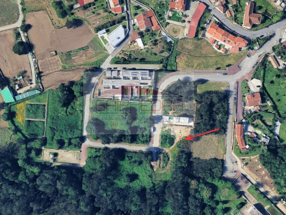 Terreno para Venda em Pinheiro da Bemposta, Travanca e Palmaz Foto 2