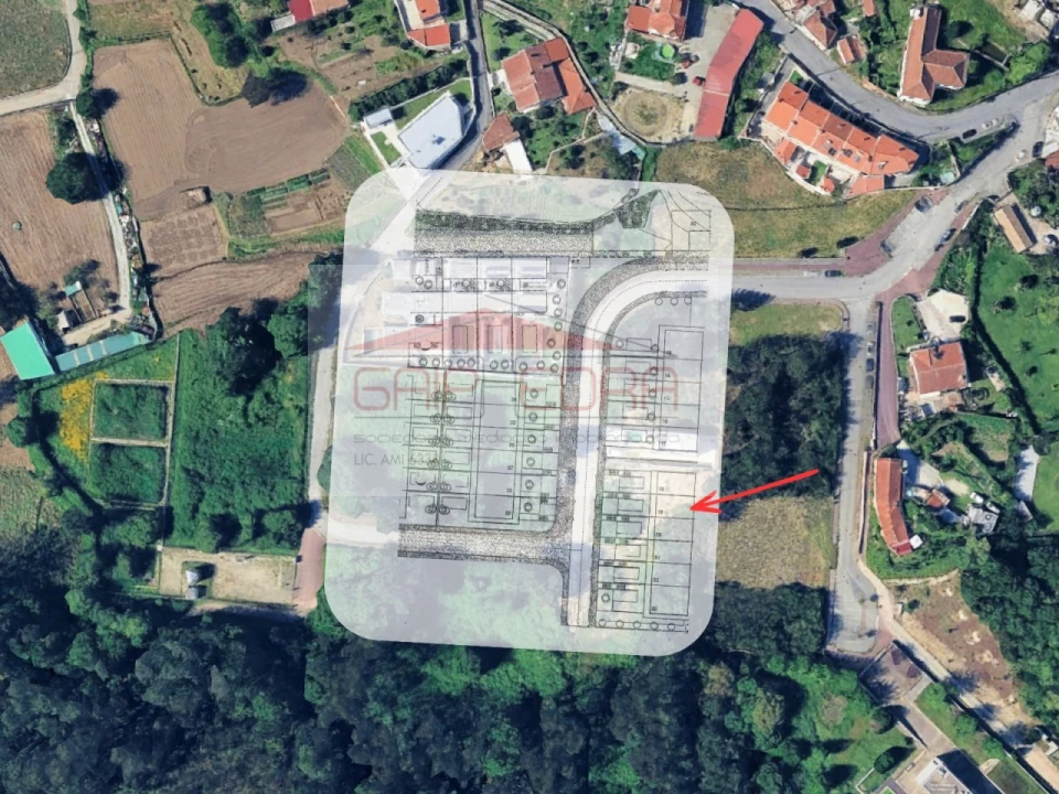 Terreno para Venda em Pinheiro da Bemposta, Travanca e Palmaz Foto 3