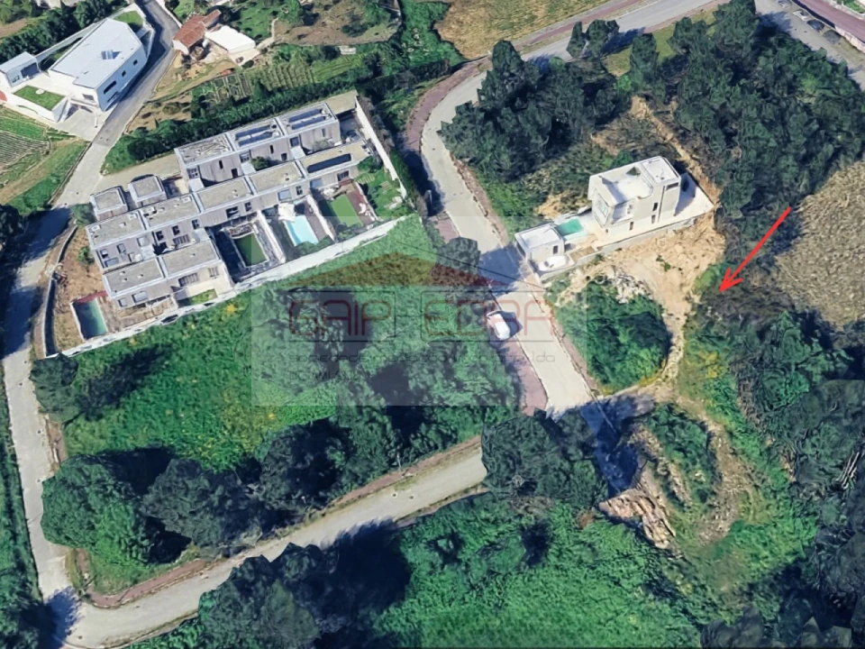 Terreno para Venda em Pinheiro da Bemposta, Travanca e Palmaz Foto 4
