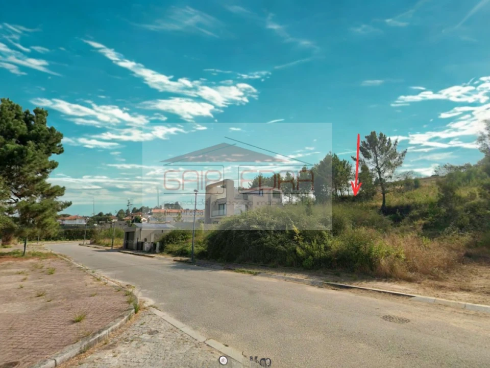 Terreno para Venda em Pinheiro da Bemposta, Travanca e Palmaz Foto 5