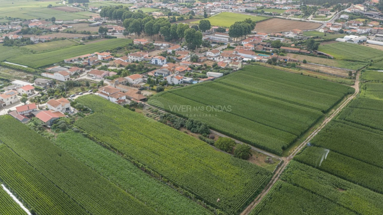 Moradia T6 para Venda em Bougado (São Martinho e Santiago) Foto 52