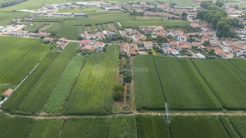 Moradia T6 para Venda em Bougado (São Martinho e Santiago)