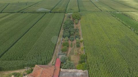 Moradia T6 para Venda em Bougado (São Martinho e Santiago)