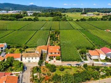 Moradia T6 para Venda em Bougado (São Martinho e Santiago)