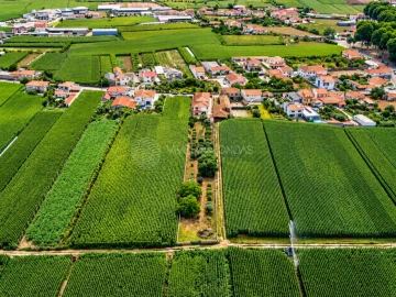 Moradia T6 para Venda em Bougado (São Martinho e Santiago)