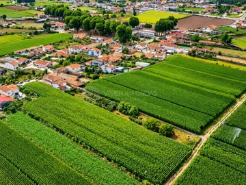 Moradia T6 para Venda em Bougado (São Martinho e Santiago)