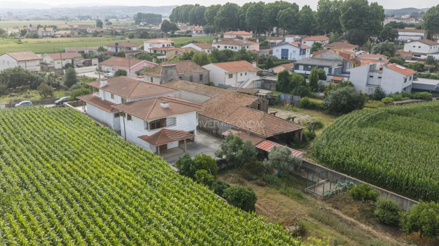 Moradia T6 para Venda em Bougado (São Martinho e Santiago) Foto 45