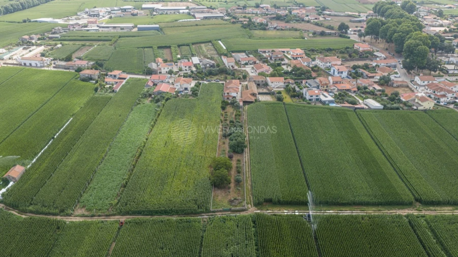 Moradia T6 para Venda em Bougado (São Martinho e Santiago) Foto 48