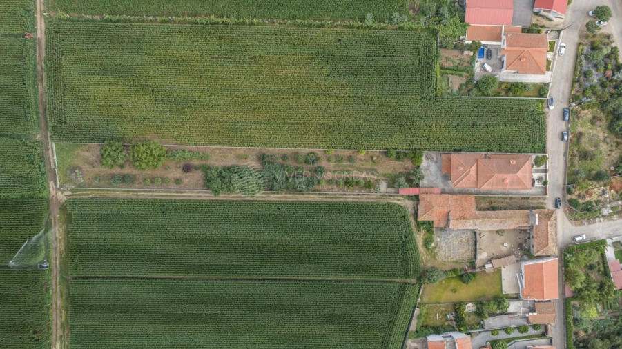 Moradia T6 para Venda em Bougado (São Martinho e Santiago) Foto 50
