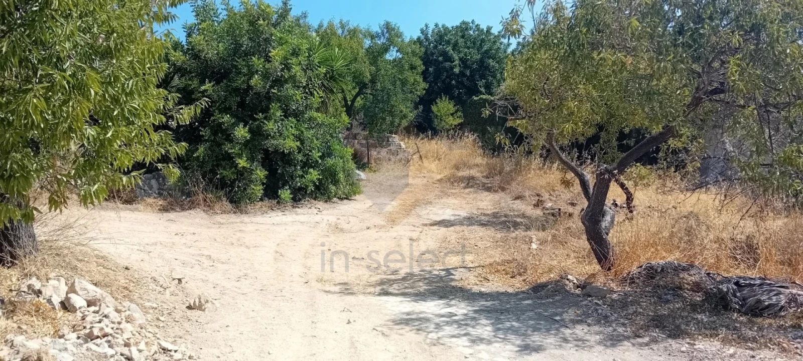 Moradia T5 para Venda em Santa Barbara de Nexe Foto 6