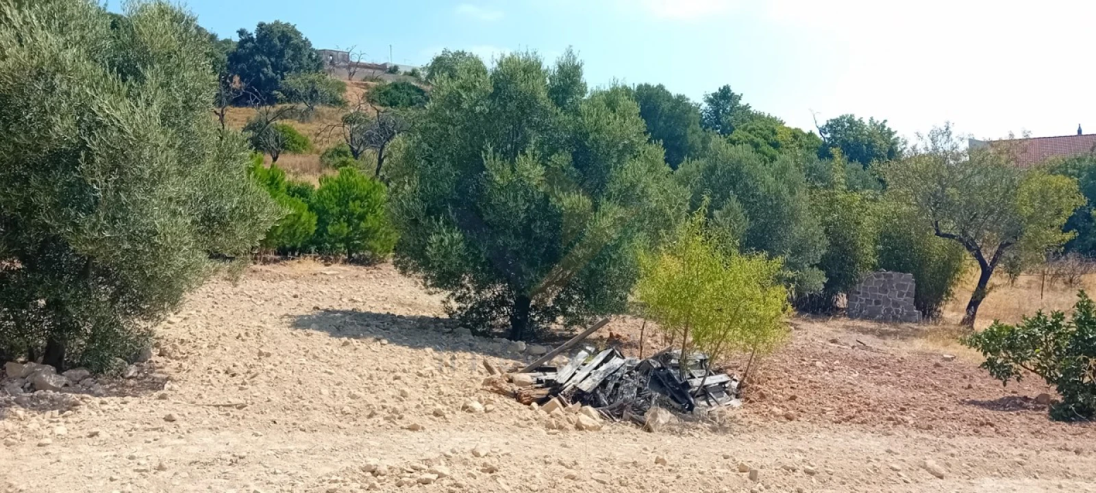 Moradia T5 para Venda em Santa Barbara de Nexe Foto 12