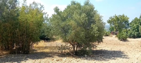 Moradia T5 para Venda em Santa Barbara de Nexe