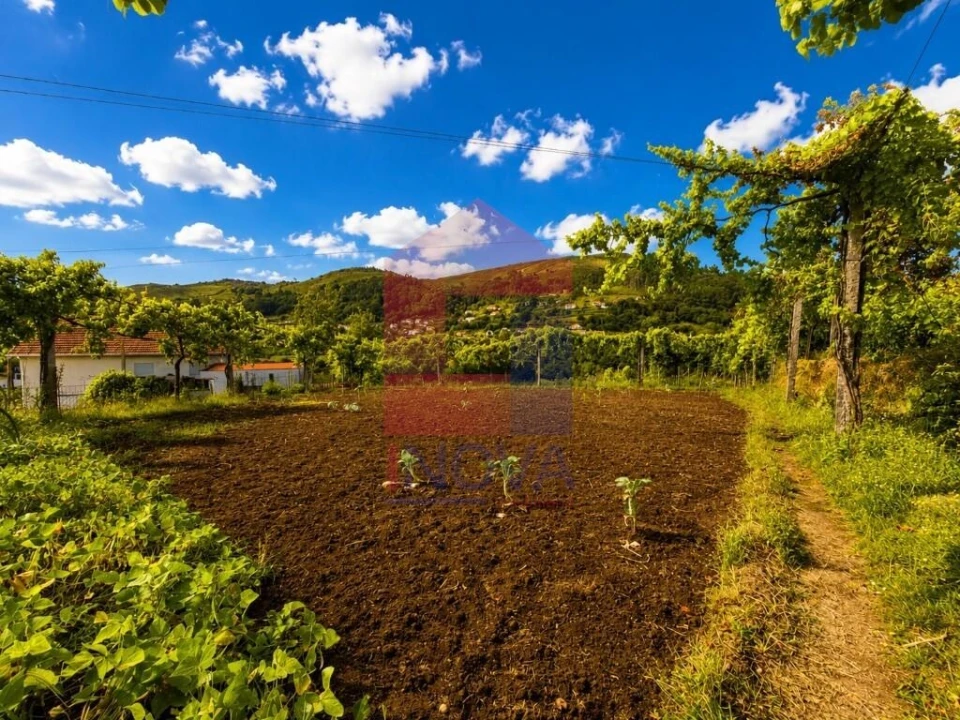 Terreno para Venda em Aboim da Nóbrega e Gondomar Foto 16