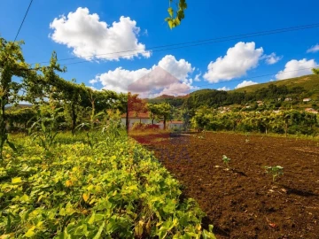Terreno para Venda em Aboim da Nóbrega e Gondomar