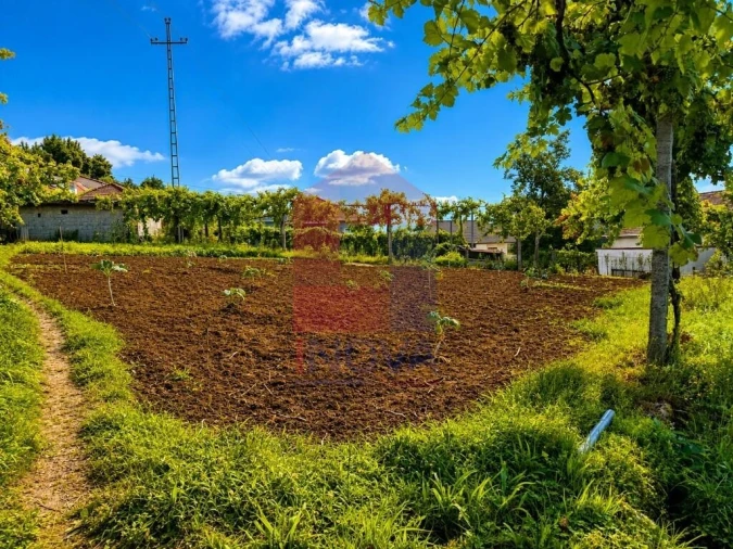 Terreno para Venda em Aboim da Nóbrega e Gondomar Foto 9