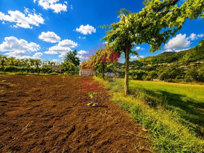 Terreno para Venda em Aboim da Nóbrega e Gondomar Foto 14