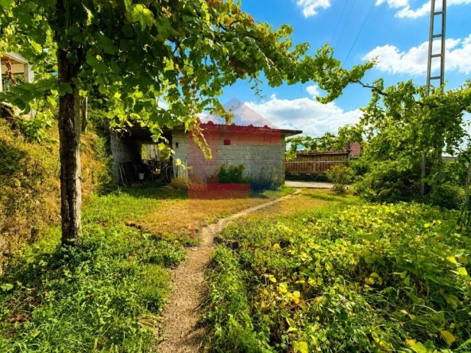 Terreno para Venda em Aboim da Nóbrega e Gondomar Foto 6