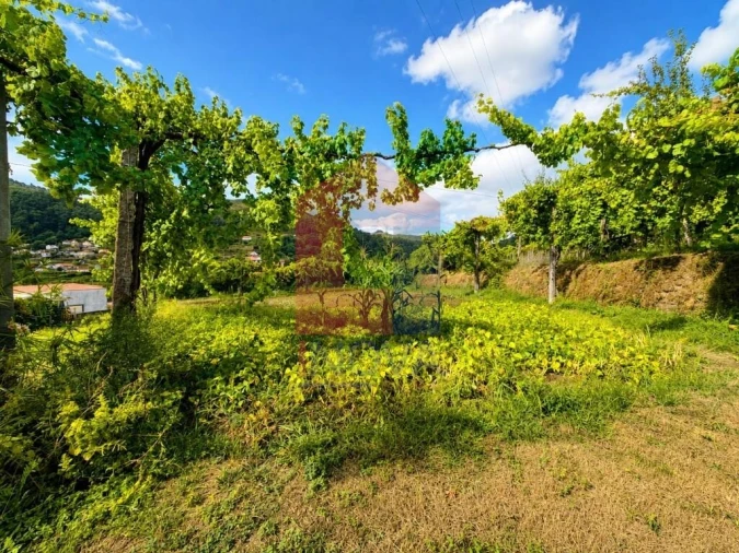 Terreno para Venda em Aboim da Nóbrega e Gondomar Foto 5