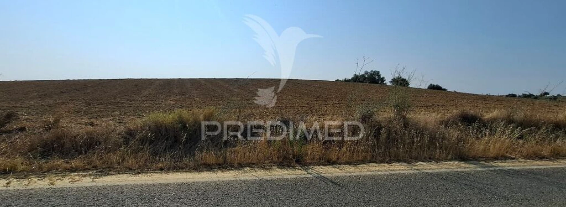 Terreno para Venda em Achete, Azoia de Baixo e Póvoa de Santarém Foto 4