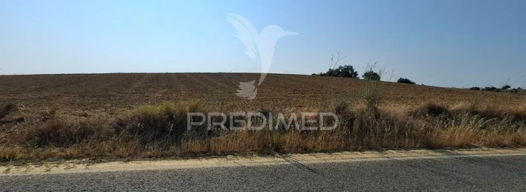 Terreno para Venda em Achete, Azoia de Baixo e Póvoa de Santarém