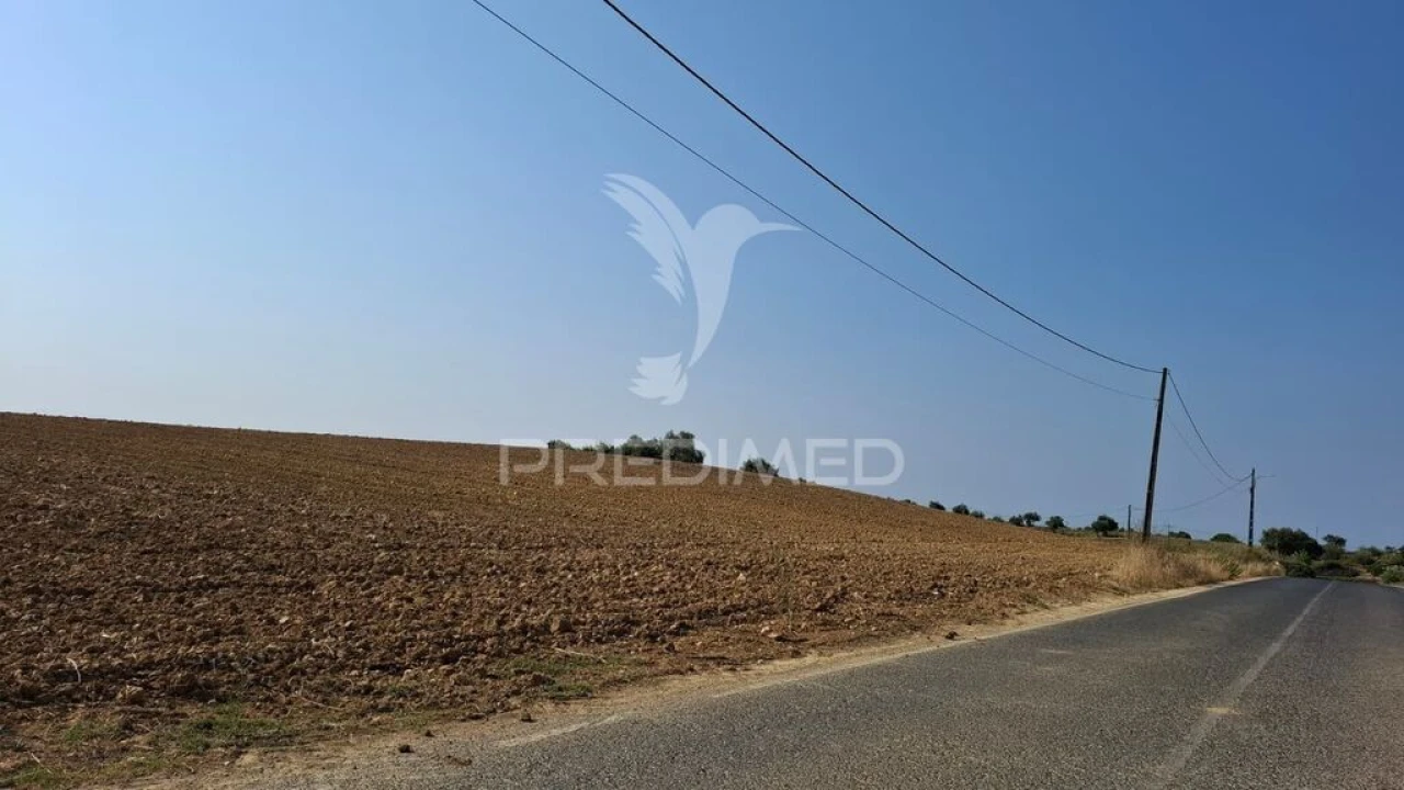 Terreno para Venda em Achete, Azoia de Baixo e Póvoa de Santarém Foto 7