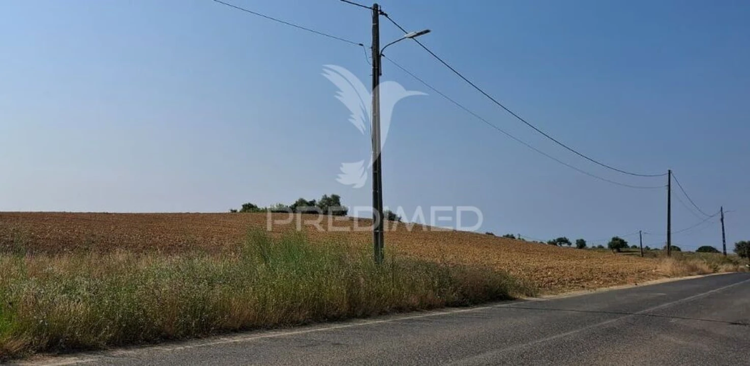 Terreno para Venda em Achete, Azoia de Baixo e Póvoa de Santarém Foto 6
