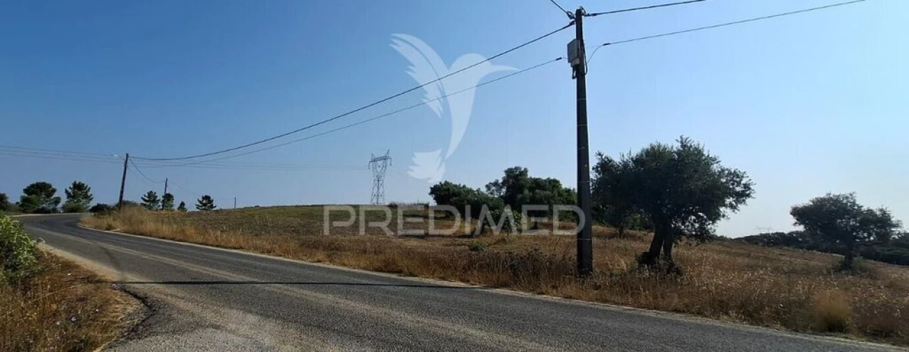 Terreno para Venda em Achete, Azoia de Baixo e Póvoa de Santarém Foto 2
