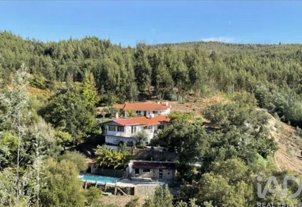 Quinta T7 para Venda em Graça Foto 40