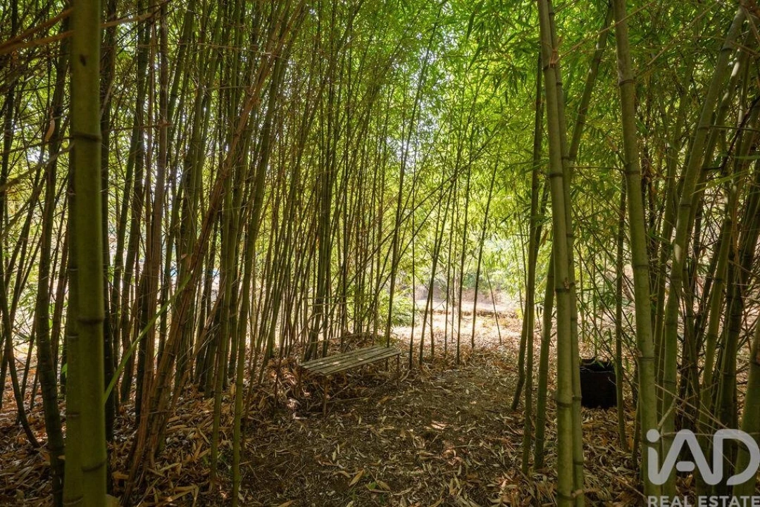 Quinta T7 para Venda em Graça Foto 37