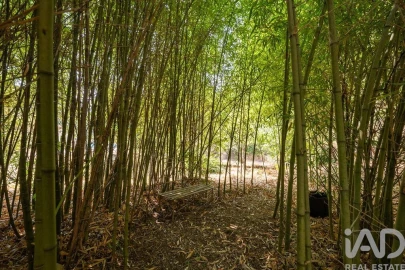 Quinta T7 para Venda em Graça