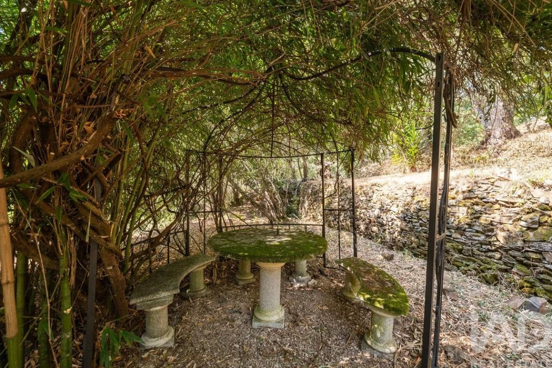 Quinta T7 para Venda em Graça Foto 38