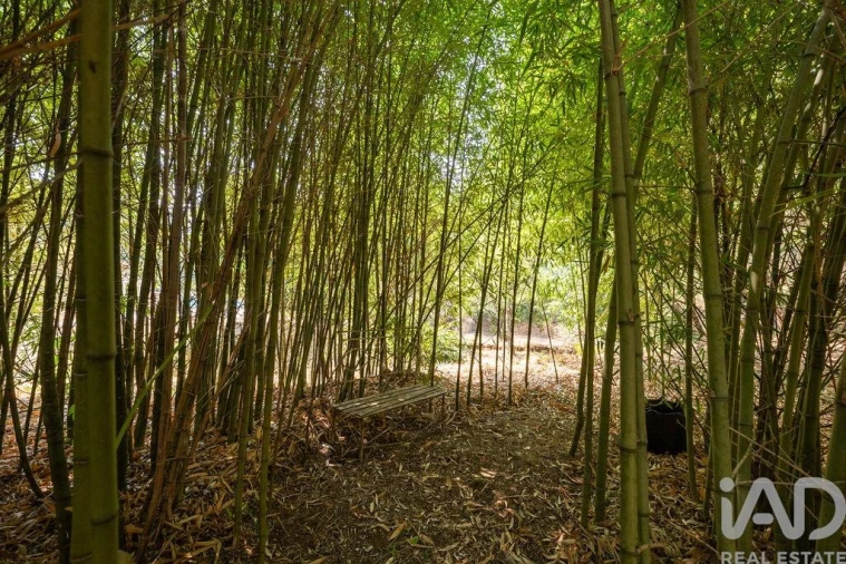Quinta T7 para Venda em Graça Foto 37