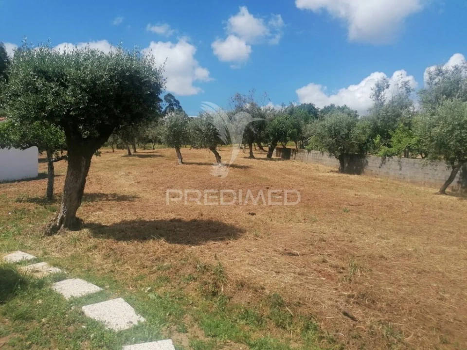 Moradia T3 para Venda em Pussos São Pedro Foto 18