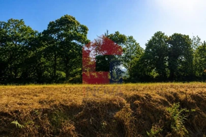 Terreno para Venda em Fiscal