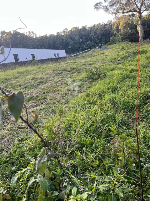 Terreno para Venda em Fonte do Bastardo