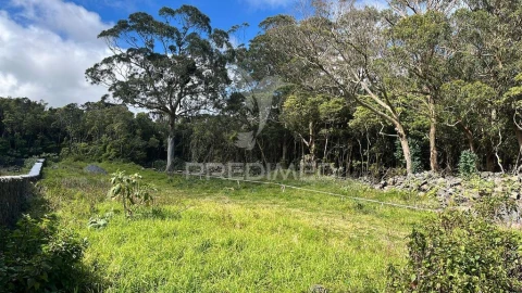 Terreno para Venda em Fonte do Bastardo