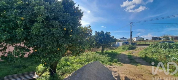 Terreno para Venda em Vermelha