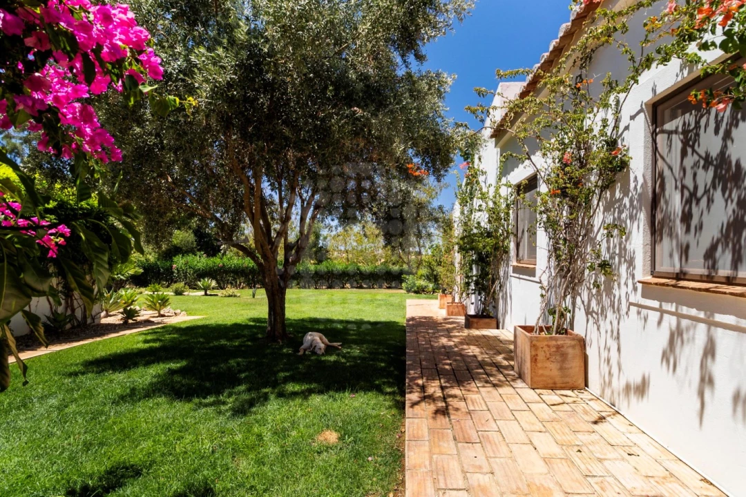 Quinta T4 para Venda em Estômbar e Parchal Foto 34