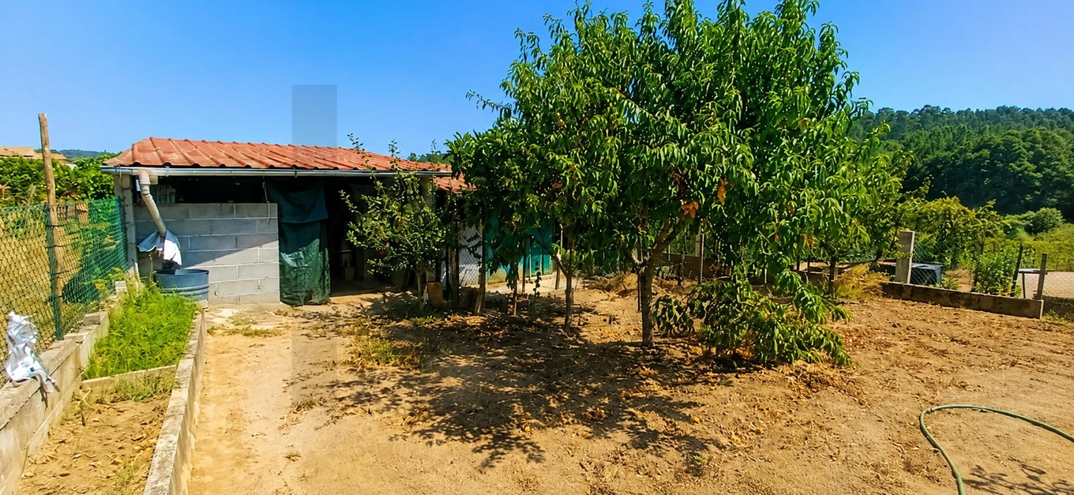 Moradia T4 para Venda em Tabua Foto 36