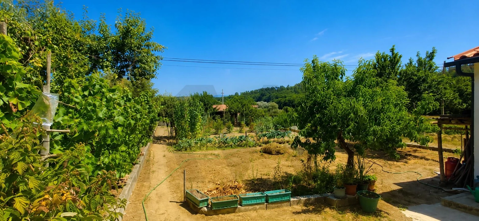 Moradia T4 para Venda em Tabua Foto 32