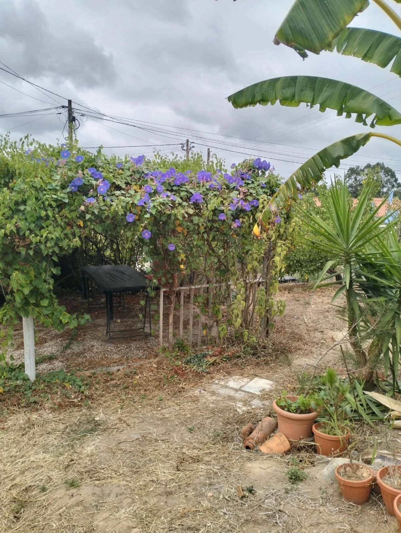 Moradia T3 para Venda em Ramalhal Foto 18