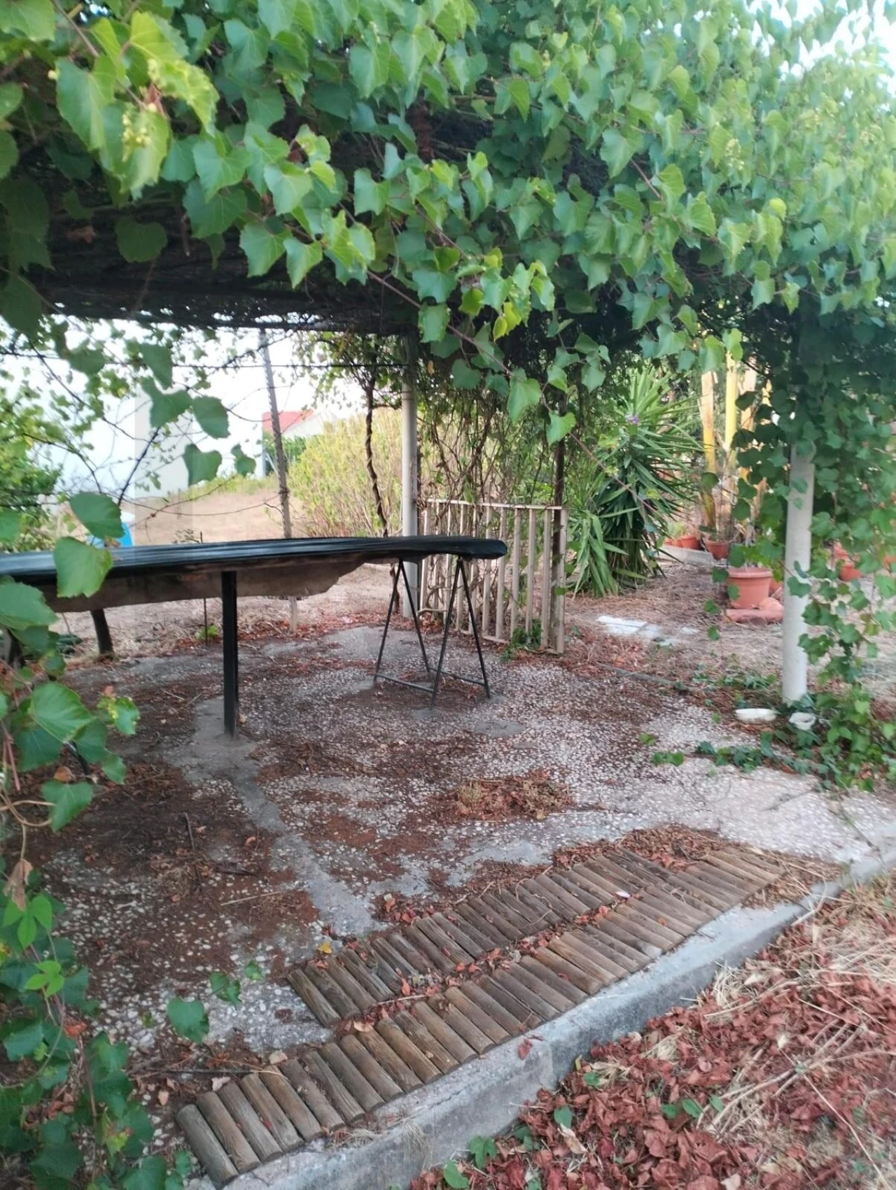 Moradia T3 para Venda em Ramalhal Foto 23